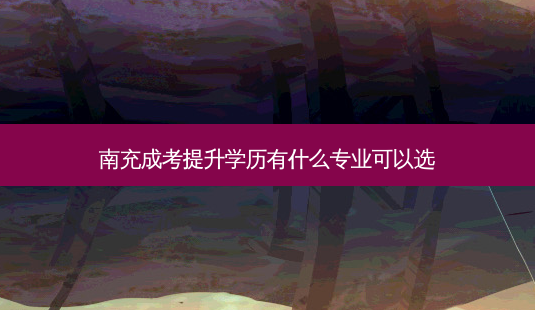 南充成考提升学历有什么专业可以选 - 美培飞跃专升本