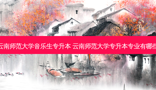 云南师范大学音乐生专升本 云南师范大学专升本专业有哪些 - 美培飞跃专升本