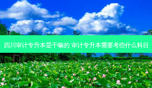 四川审计专升本是干嘛的 审计专升本需要考些什么科目 - 美培飞跃专升本