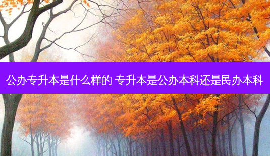 公办专升本是什么样的 专升本是公办本科还是民办本科 - 美培飞跃专升本