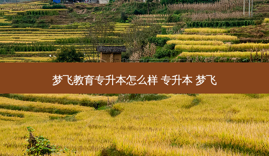 梦飞教育专升本怎么样 专升本 梦飞 - 美培飞跃专升本