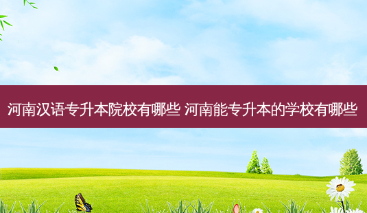 河南汉语专升本院校有哪些 河南能专升本的学校有哪些 - 美培飞跃专升本