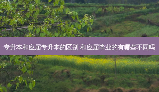 专升本和应届专升本的区别 和应届毕业的有哪些不同吗 - 美培飞跃专升本