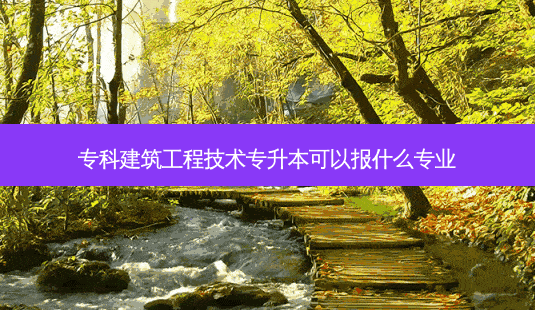 专科建筑工程技术专升本可以报什么专业 - 美培飞跃专升本