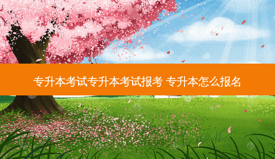 专升本考试专升本考试报考 专升本怎么报名 - 美培飞跃专升本