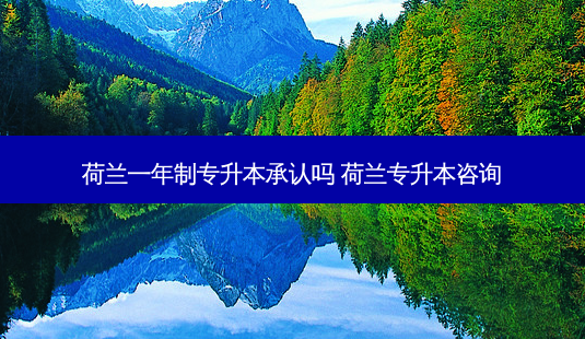 荷兰一年制专升本承认吗 荷兰专升本咨询 - 美培飞跃专升本