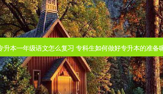 专升本一年级语文怎么复习 专科生如何做好专升本的准备呢 - 美培飞跃专升本