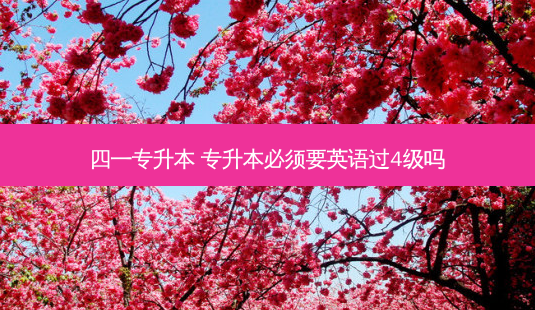 四一专升本 专升本必须要英语过4级吗 - 美培飞跃专升本
