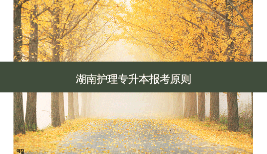 湖南护理专升本报考原则 - 美培飞跃专升本