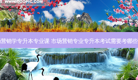 市场营销学专升本专业课 市场营销专业专升本考试需要考哪些科目 - 美培飞跃专升本