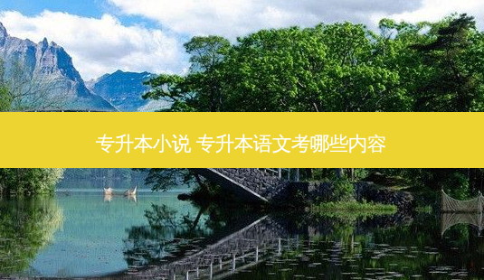 专升本小说 专升本语文考哪些内容 - 美培飞跃专升本