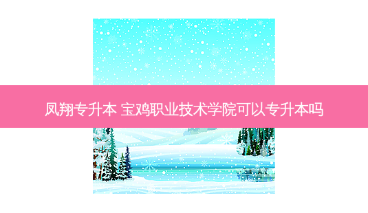 凤翔专升本 宝鸡职业技术学院可以专升本吗 - 美培飞跃专升本