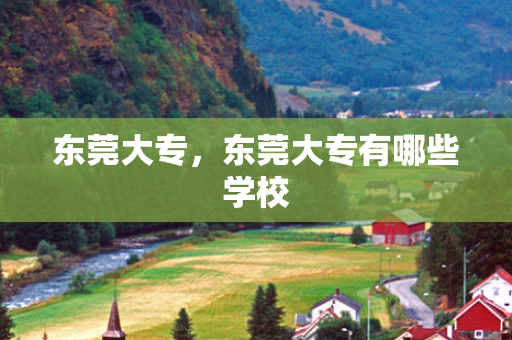 东莞大专，东莞大专有哪些学校