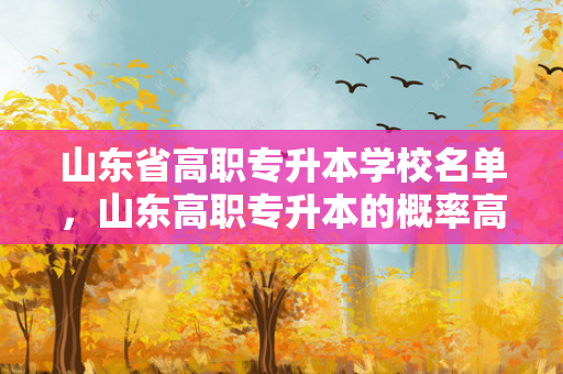 山东省高职专升本学校名单，山东高职专升本的概率高的学校