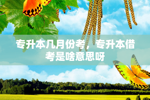 专升本几月份考，专升本借考是啥意思呀