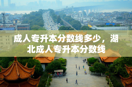 成人专升本分数线多少，湖北成人专升本分数线