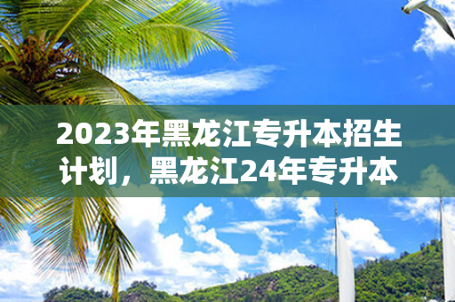 2023年黑龙江专升本招生计划，黑龙江24年专升本招生计划