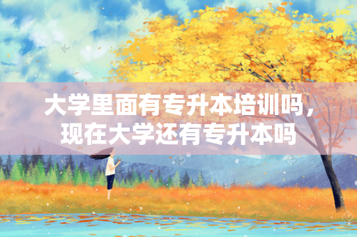 大学里面有专升本培训吗，现在大学还有专升本吗