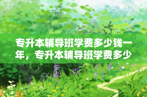 专升本辅导班学费多少钱一年，专升本辅导班学费多少