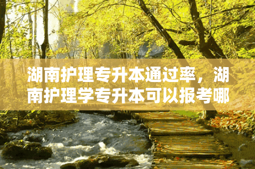 湖南护理专升本通过率，湖南护理学专升本可以报考哪些大学