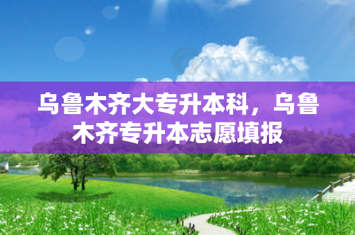 乌鲁木齐大专升本科，乌鲁木齐专升本志愿填报