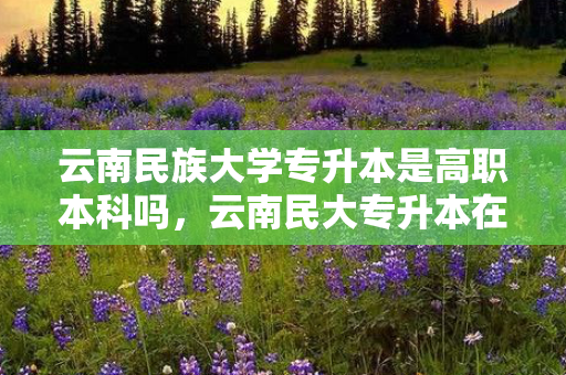 云南民族大学专升本是高职本科吗，云南民大专升本在哪个校区