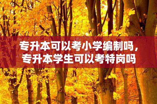专升本可以考小学编制吗，专升本学生可以考特岗吗