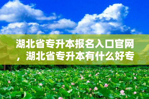 湖北省专升本报名入口官网，湖北省专升本有什么好专业吗