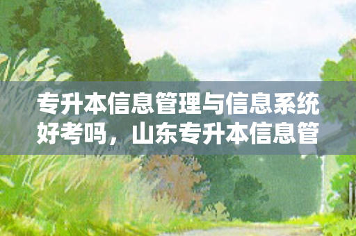 专升本信息管理与信息系统好考吗，山东专升本信息管理与信息系统