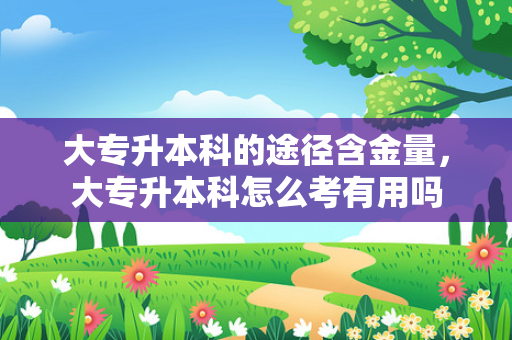 大专升本科的途径含金量，大专升本科怎么考有用吗
