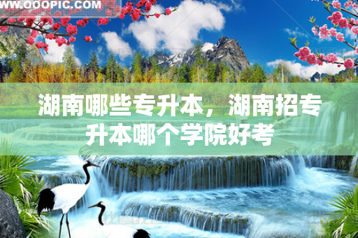 湖南哪些专升本，湖南招专升本哪个学院好考