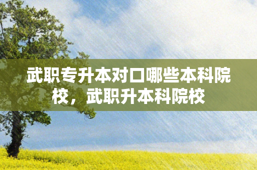 武职专升本对口哪些本科院校，武职升本科院校