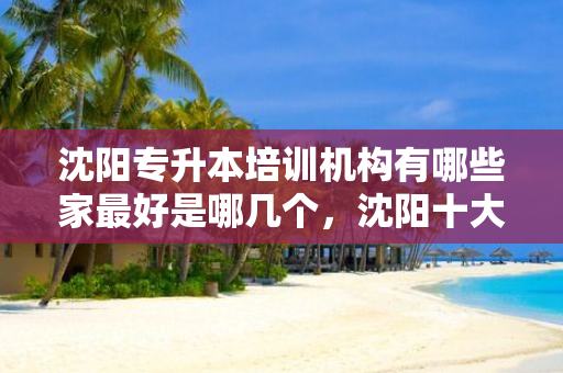 沈阳专升本培训机构有哪些家好是哪几个，沈阳十大专升本教育机构