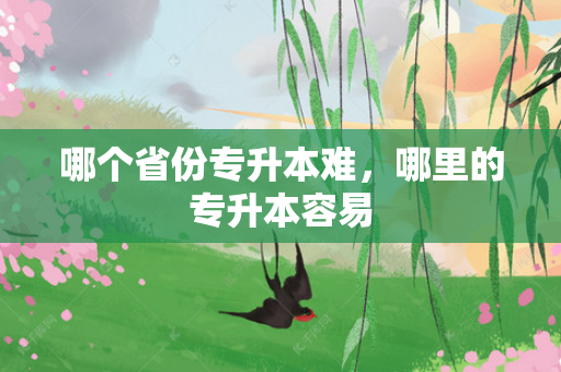 哪个省份专升本难，哪里的专升本容易