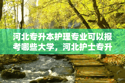 河北专升本护理专业可以报考哪些大学，河北护士专升本好考吗知乎文章
