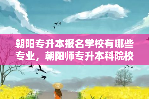 朝阳专升本报名学校有哪些专业，朝阳师专升本科院校