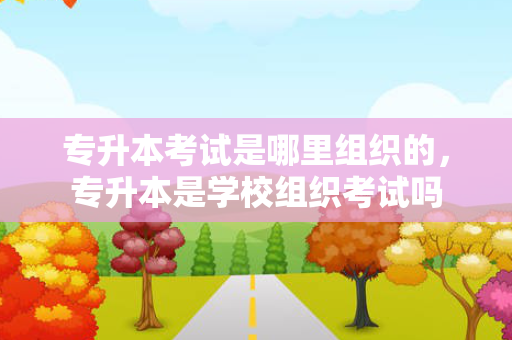 专升本考试是哪里组织的，专升本是学校组织考试吗