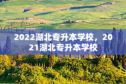 2022湖北专升本学校，2021湖北专升本学校