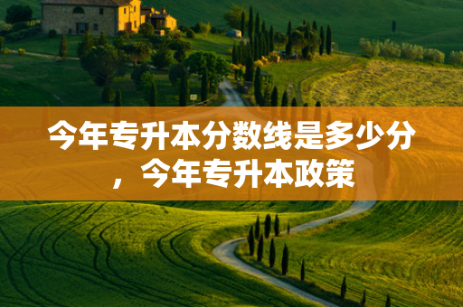 今年专升本分数线是多少分，今年专升本政策