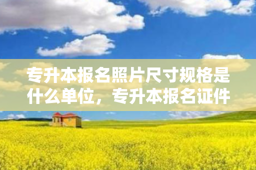 专升本报名照片尺寸规格是什么单位，专升本报名证件照尺寸