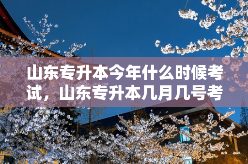山东专升本今年什么时候考试，山东专升本几月几号考试