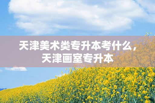 天津美术类专升本考什么，天津画室专升本