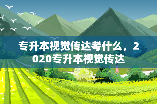 专升本视觉传达考什么，2020专升本视觉传达