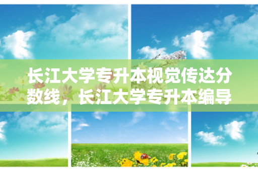 长江大学专升本视觉传达分数线，长江大学专升本编导