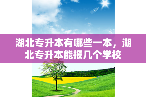 湖北专升本有哪些一本，湖北专升本能报几个学校