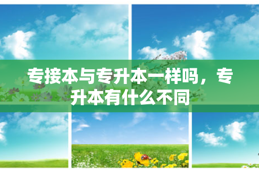 专接本与专升本一样吗，专升本有什么不同