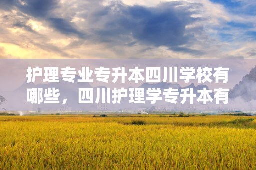 护理专业专升本四川学校有哪些，四川护理学专升本有哪些学校