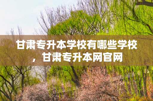 甘肃专升本学校有哪些学校，甘肃专升本网官网