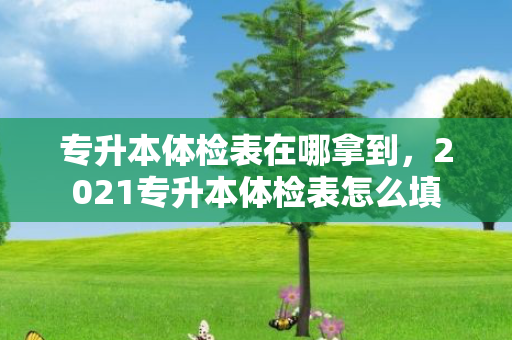 专升本体检表在哪拿到，2021专升本体检表怎么填