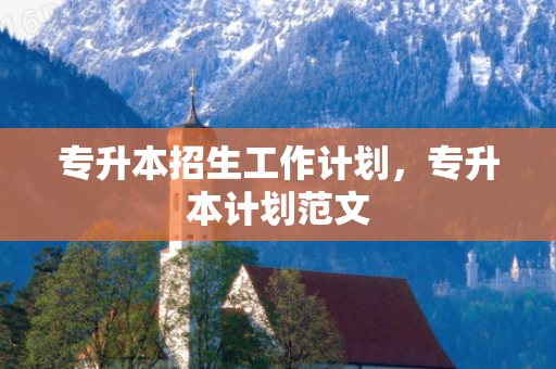 专升本招生工作计划，专升本计划范文